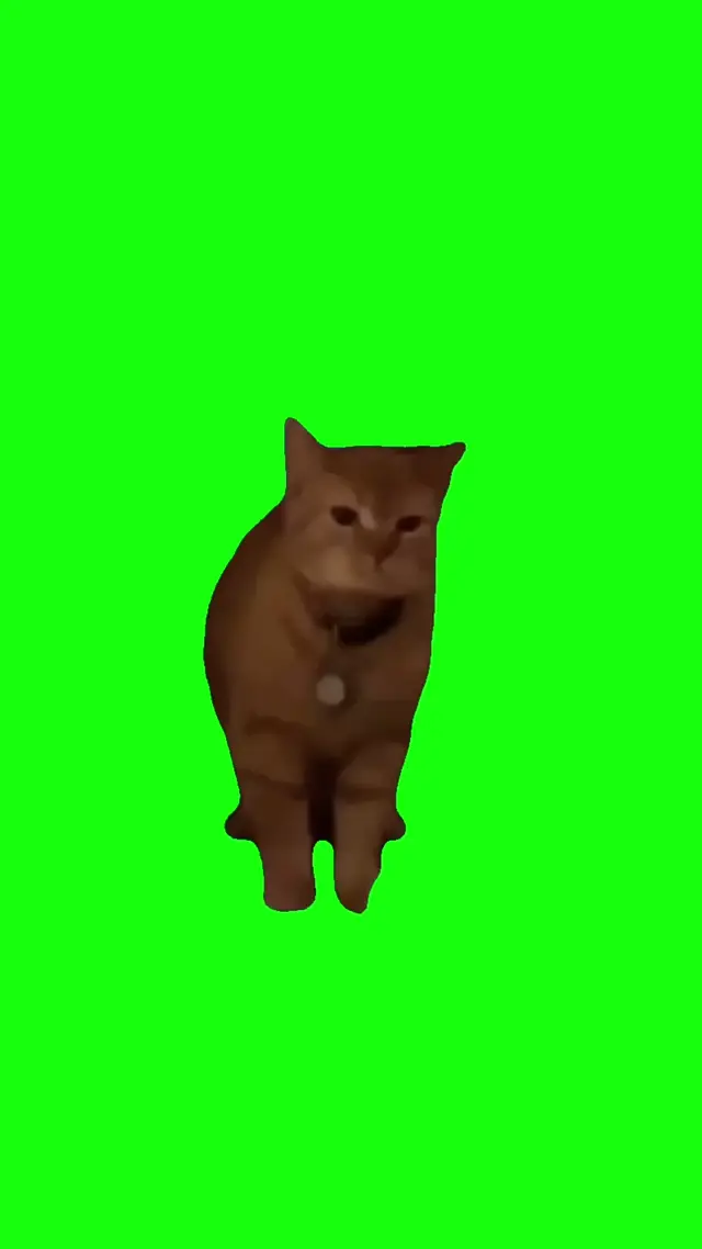 Танцующий рыжий кот на зеленом фоне