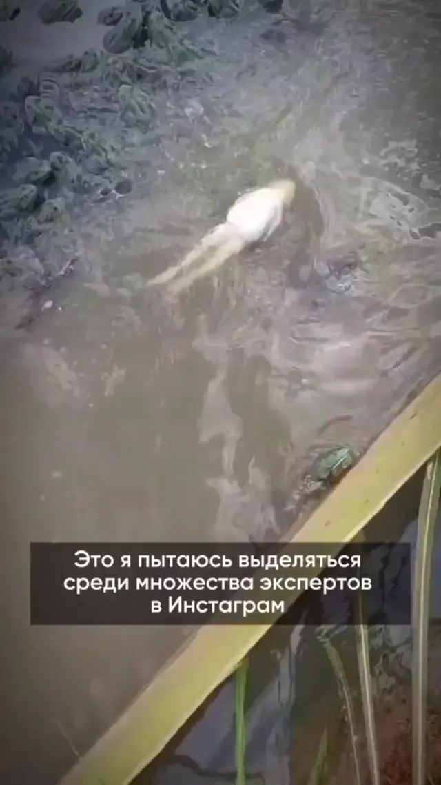 Это я пытаюсь выделяться среди множества экспертов в Инстаграм