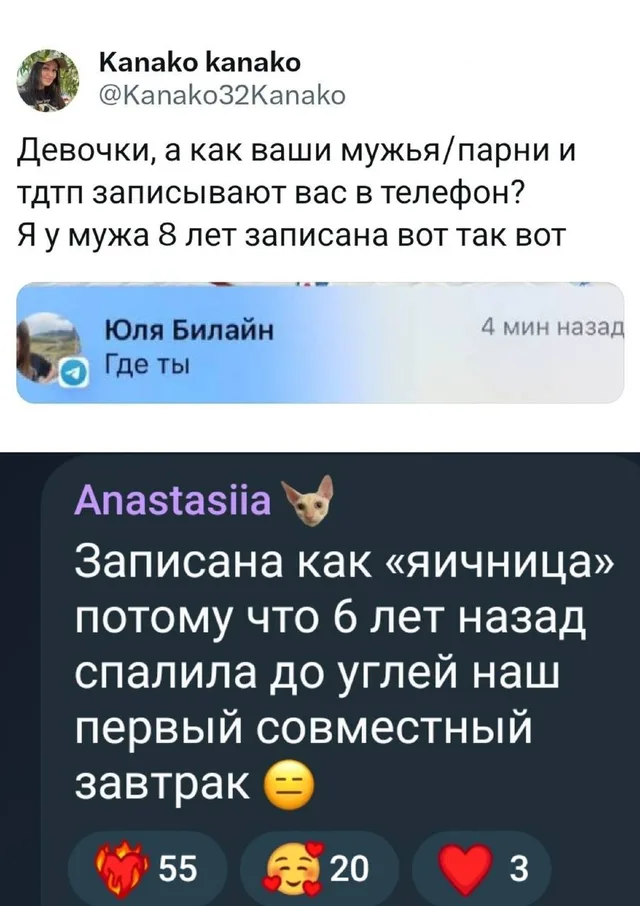Статичное изображение переписки в соцсети. — автор поста Kanako kanako, комментатор Anastasiia