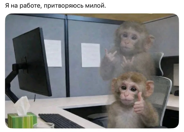 На переднем плане обезьянка сидит за компьютером и показывает большой палец вверх, на заднем плане полупрозрачная копия той же обезьянки пок
