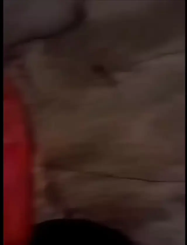 Мы подыхаем тут как твари