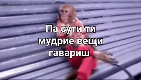 Обезьяна на скамейке: Па сути ти мудрие вещи гавариш