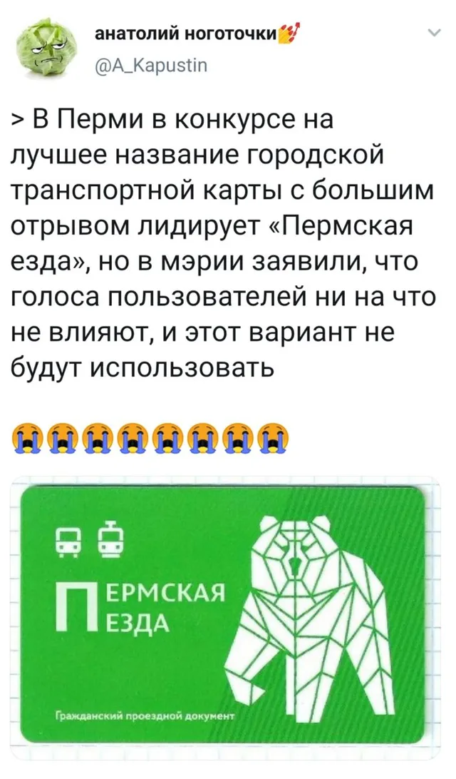 Статичное изображение, демонстрирующее абсурдное название проездного билета. — автор поста @A_Kapustin