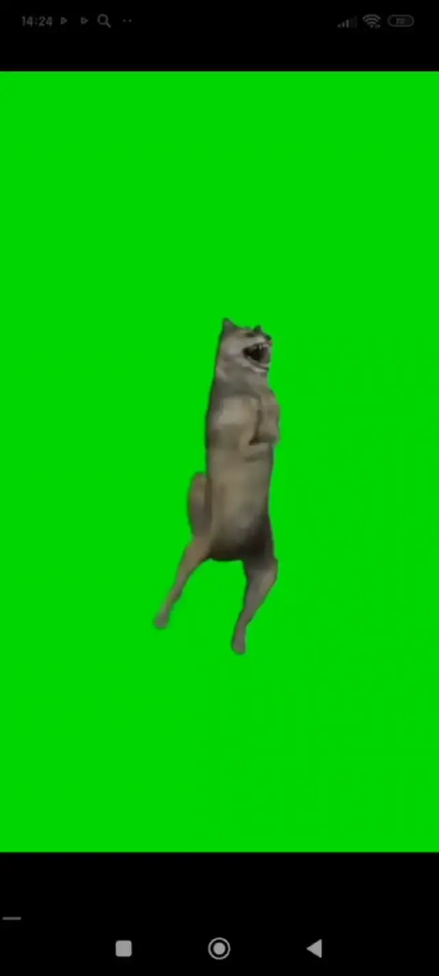 Танцующий волк на зеленом фоне