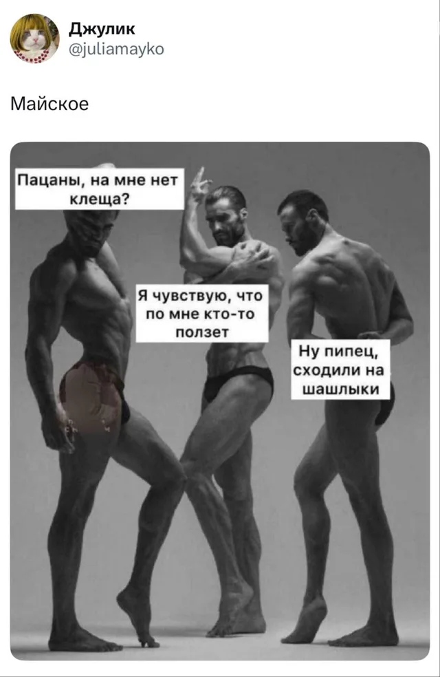 Гигачады боятся клещей после шашлыков