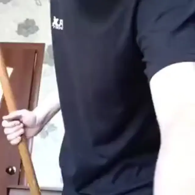 Когда я был хоббихорсером