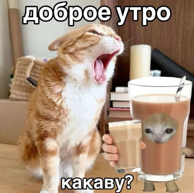 Доброе утро, какаву?