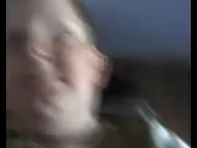 Повар спрашивает повара