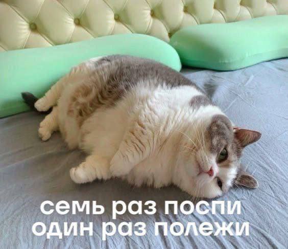 Семь раз поспи, один раз полежи