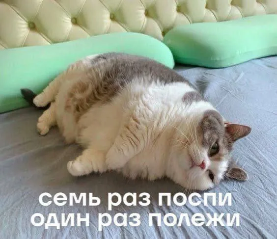 Семь раз поспи, один раз полежи