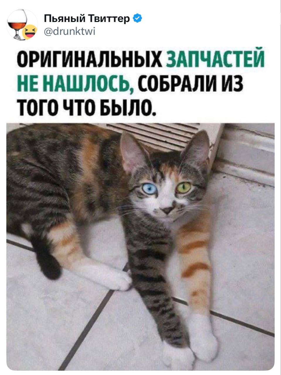 Оригинальных запчастей не нашлось