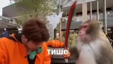 Обезьяна бьет парня палкой по голове с надписью «тише»