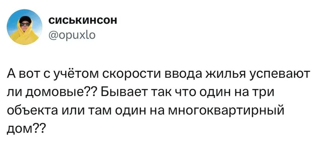 Успевают ли домовые за новостройками