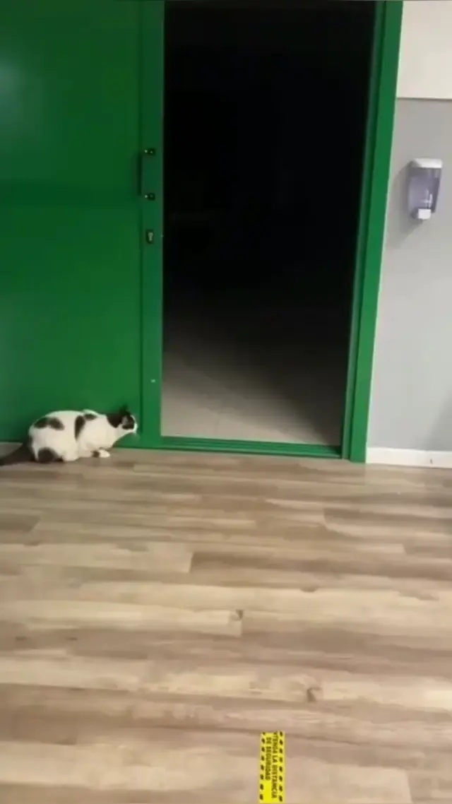 О нет, это же мой двойник!