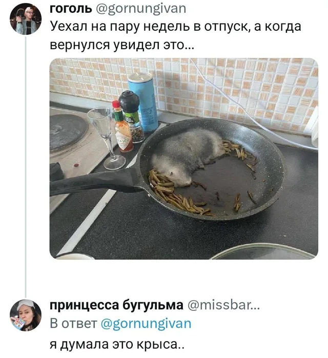Скриншот твита с фото мёртвого крота в сковороде и ответного комментария