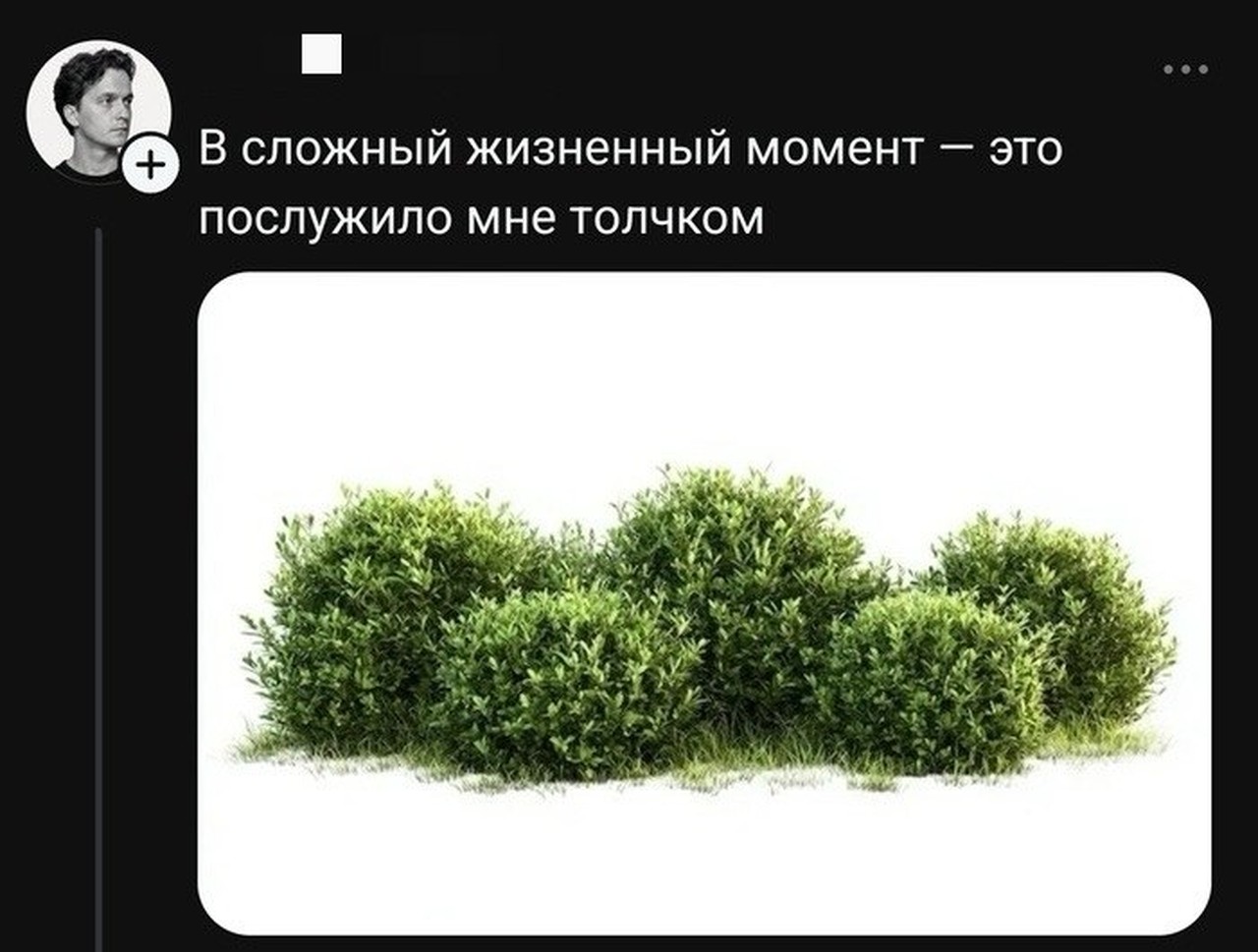 Кусты как жизненный толчок