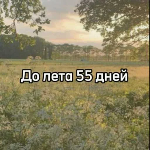 До лета еще целая вечность