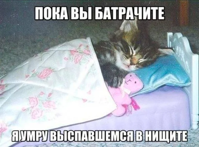 Умру выспавшимся в нищите