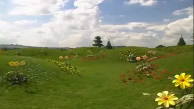 Ляля в пачке танцует балет