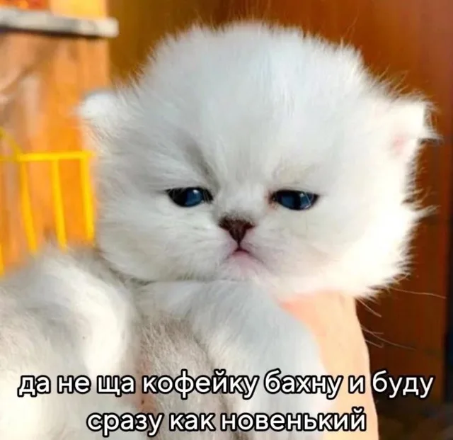 Да не ща кофейку бахну
