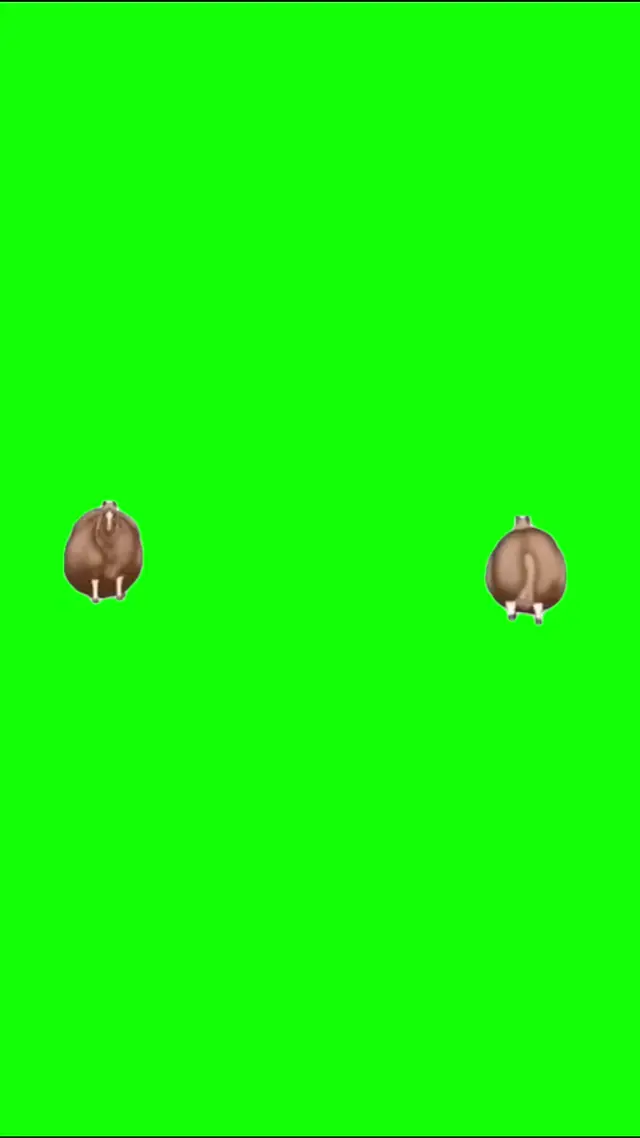 Два пухлых 3D-животных бесконечно кружатся и маршируют по кругу на зелёном экране под весёлый бодрый бит.