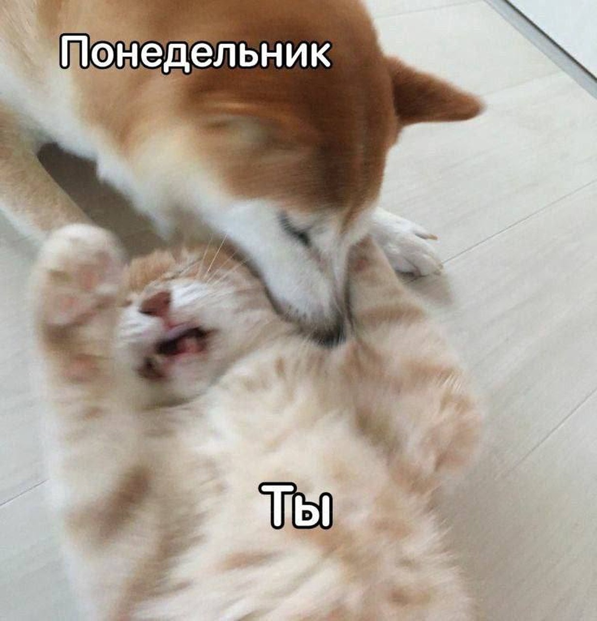 Понедельник уничтожает твои остатки сил