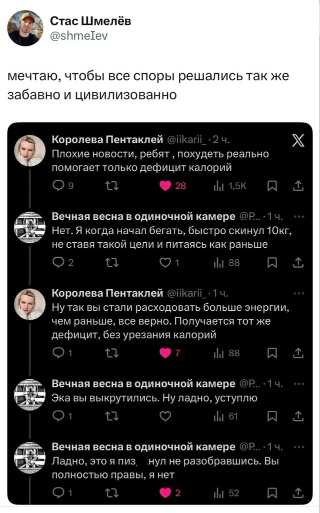 Идеальный спор в интернете