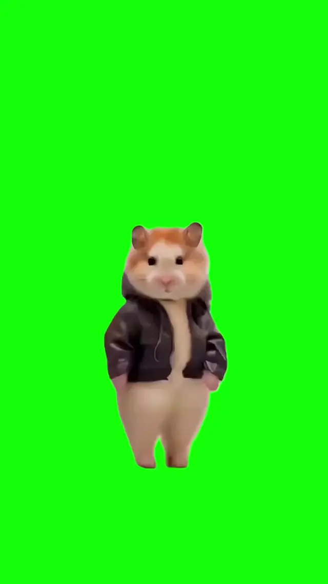 Танцующий хомяк в кожаной куртке