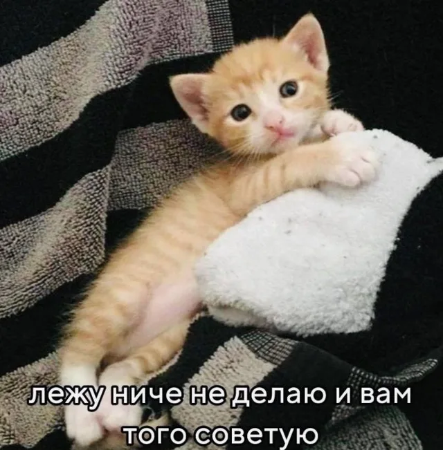 Лежу ниче не делаю и вам того советую