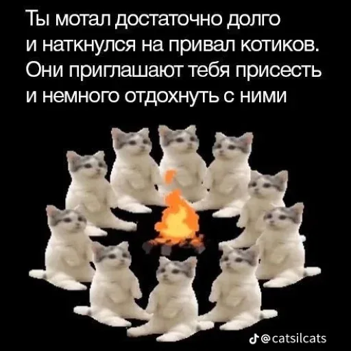 Статичное изображение котят, сидящих в кругу вокруг огня. — котята