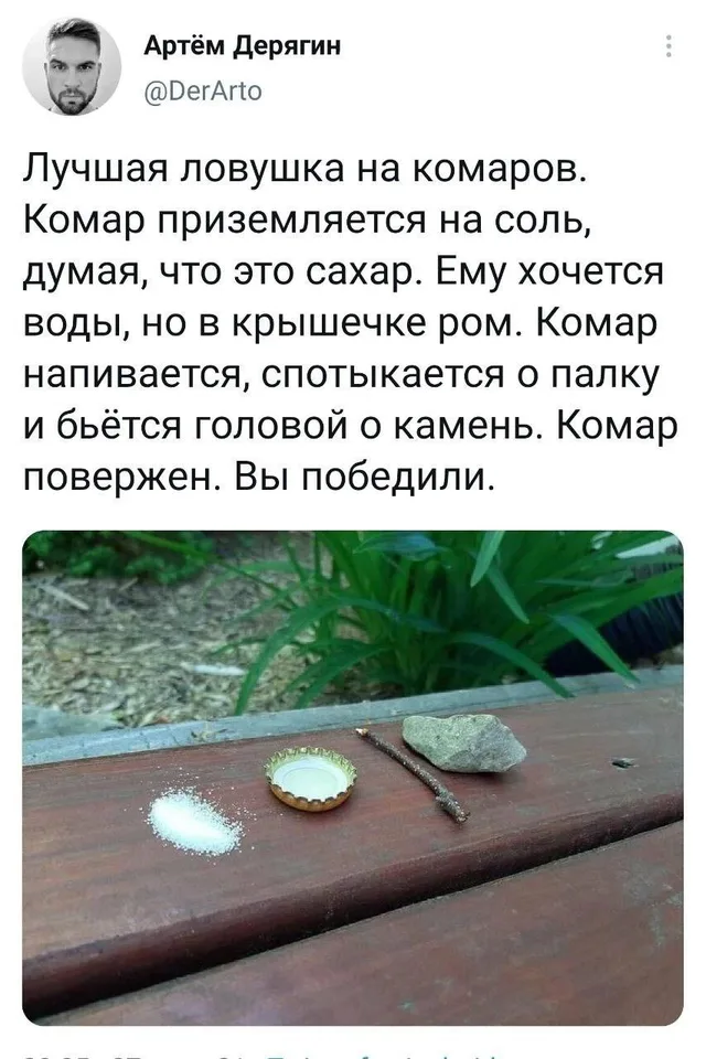 Статичное изображение предметов, имитирующих абсурдную «ловушку» для насекомого. — автор поста Артём Дерягин