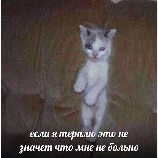 Молчаливое страдание