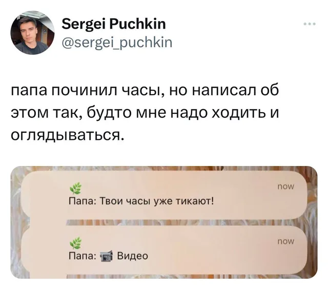 Статичное изображение, демонстрирующее переписку в мессенджере. — автор поста @sergei_puchkin, папа