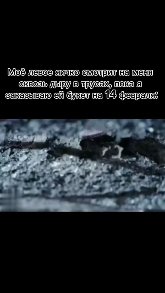 Яичко смотрит на букет