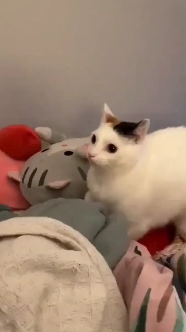 У тебя нет врагов