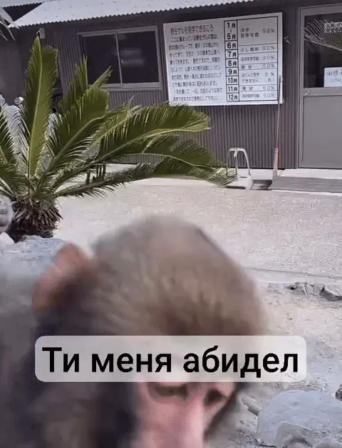 Ти меня абидел