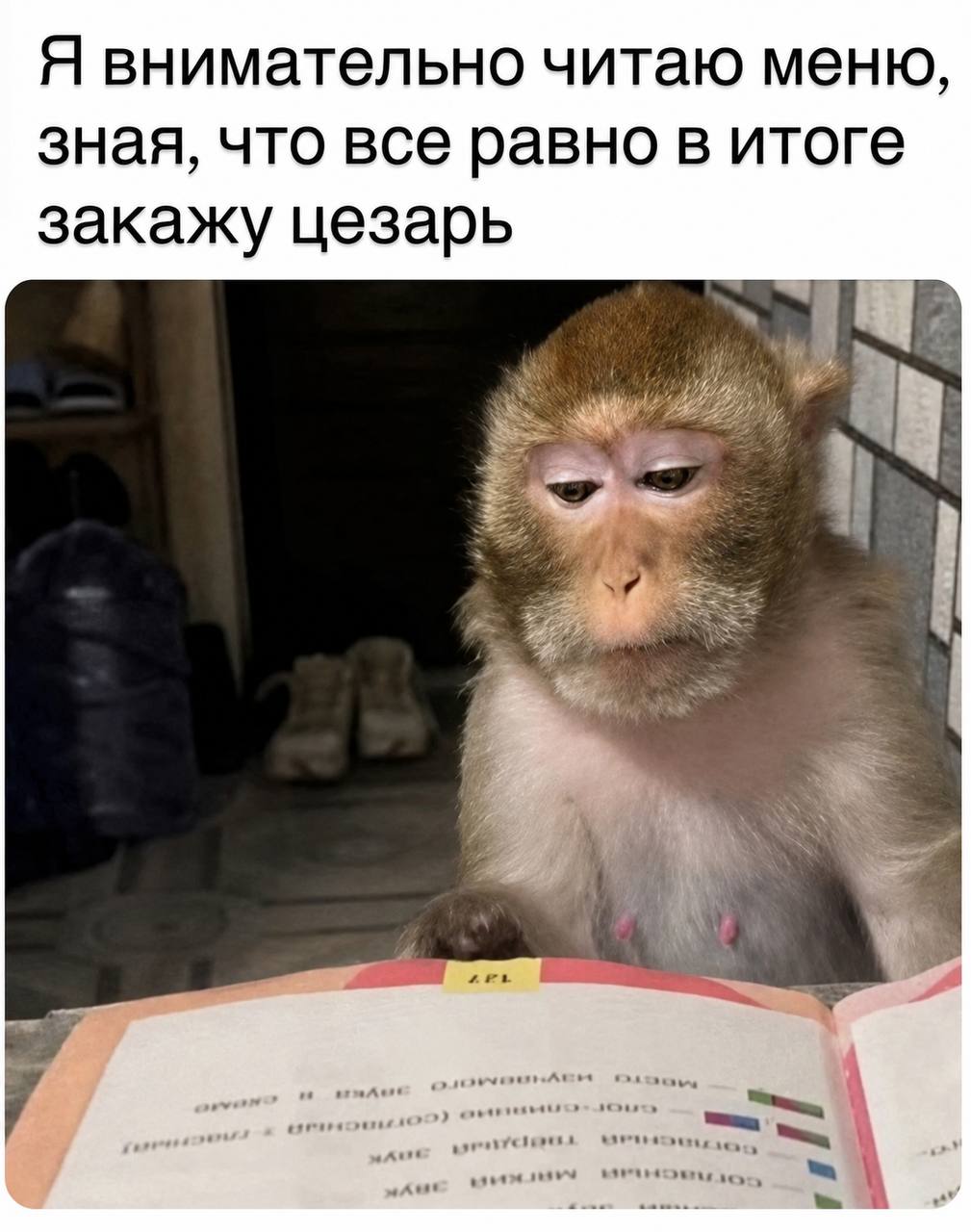 Иллюзия выбора в меню