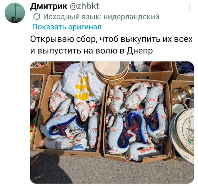 Сбор на спасение фарфоровых рыб
