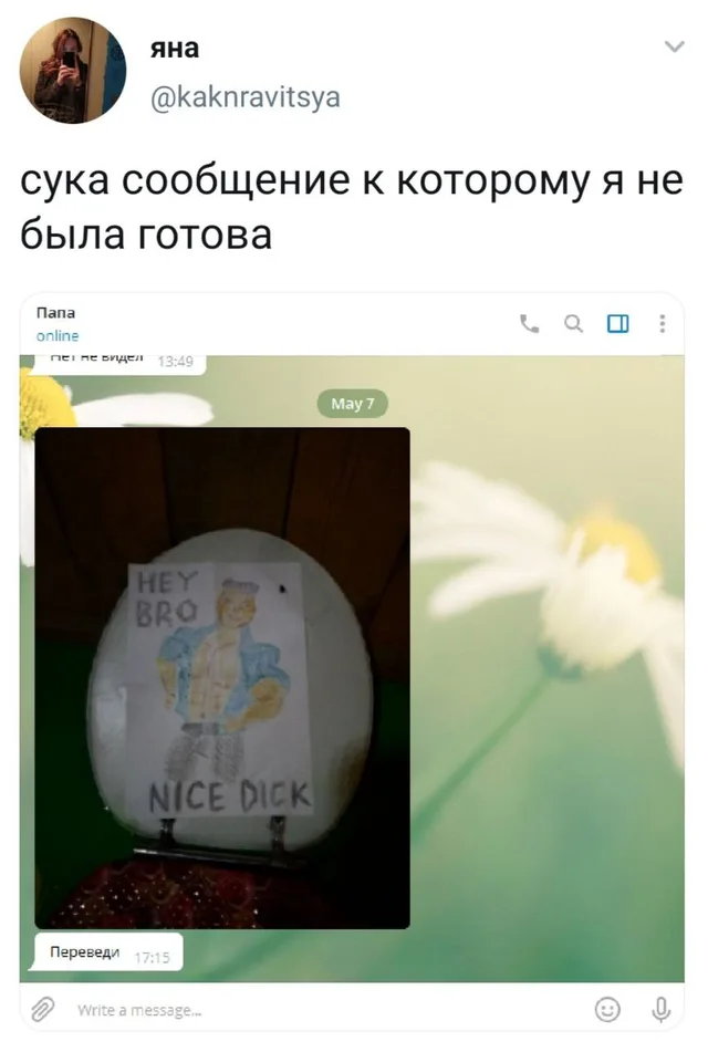 Статичное изображение переписки в мессенджере. — девушка (автор поста), папа (контакт в мессенджере)
