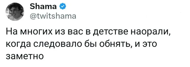 Текст твита зафиксирован на экране. — автор поста Shama