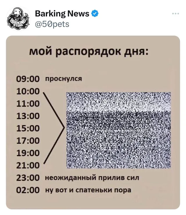 Статичное изображение, текст и картинка помех не меняются.