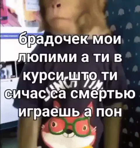 Брадочек мой любимый, ты со смертью играешь