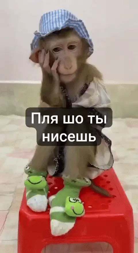 Пля шо ты нисешь