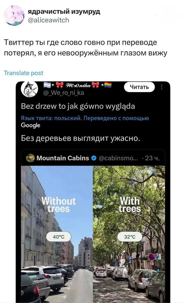 Твиттер потерял слово говно при переводе