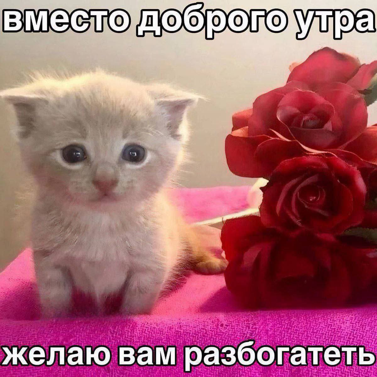 Вместо доброго утра желаю вам разбогатеть
