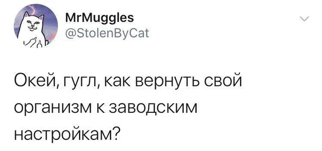 Скриншот твита с текстом запроса к поисковику