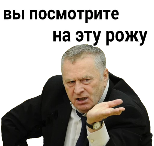 Вы посмотрите на эту рожу