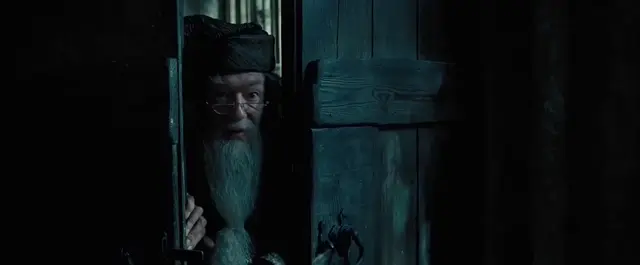 Дамблдор желает удачи и закрывает дверь
