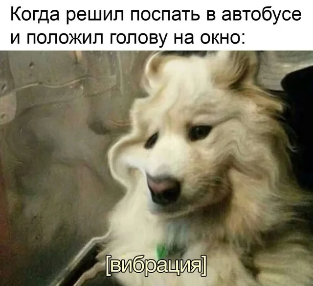 Сон в автобусе и вибрация
