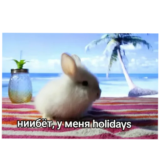 Ниибёт, у меня holidays